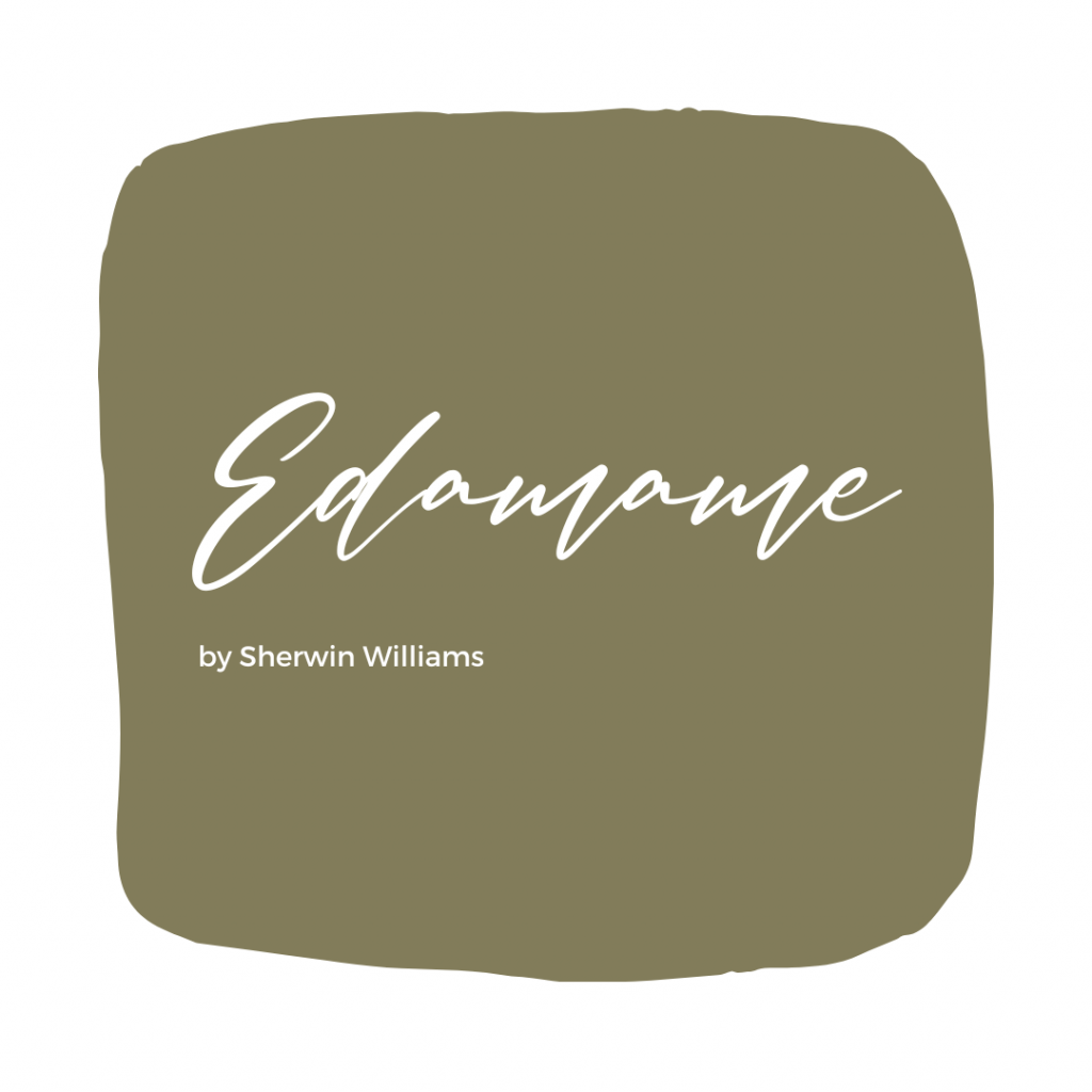 A swatch of paint color Edamame by Sherwin Williams